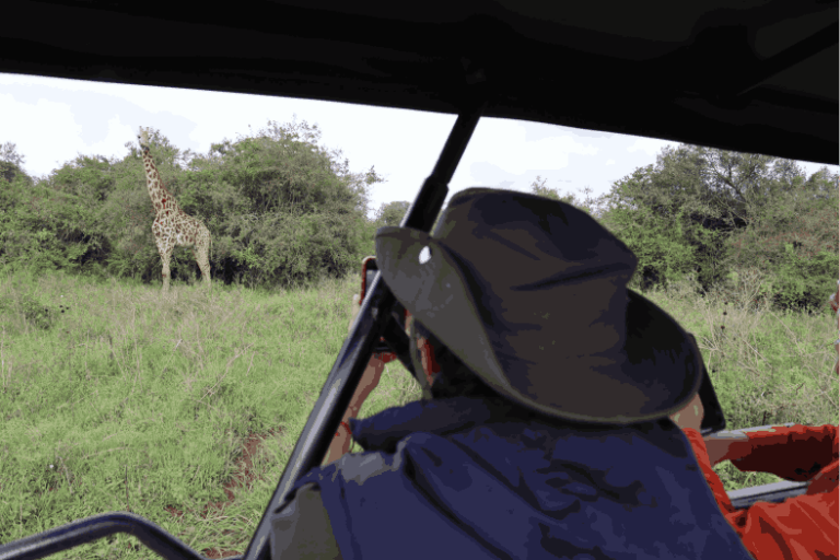 6-Day Kenya Budget Safari Nakuru Naivasha Maasai Mara