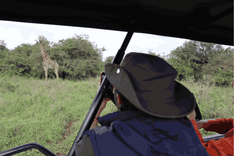 6-Day Kenya Budget Safari Nakuru Naivasha Maasai Mara