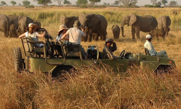 group Travel & Tourism 2026