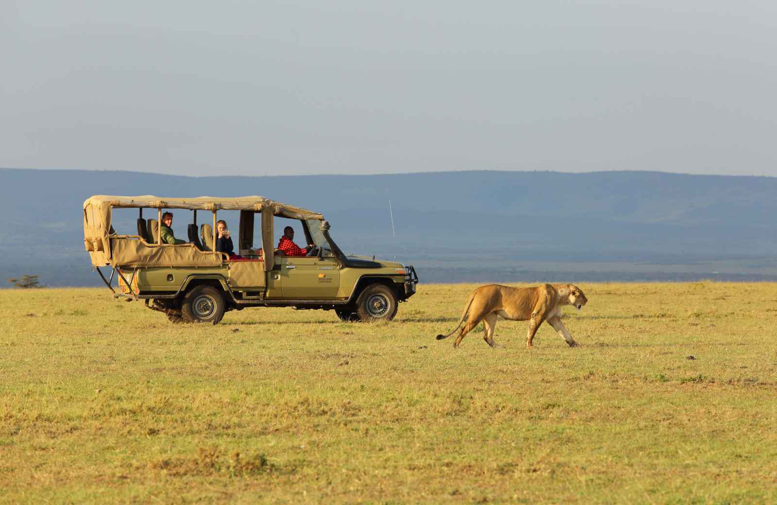 malee safaris budget masai mara safari game drive 11zon Travel & Tourism 2026
