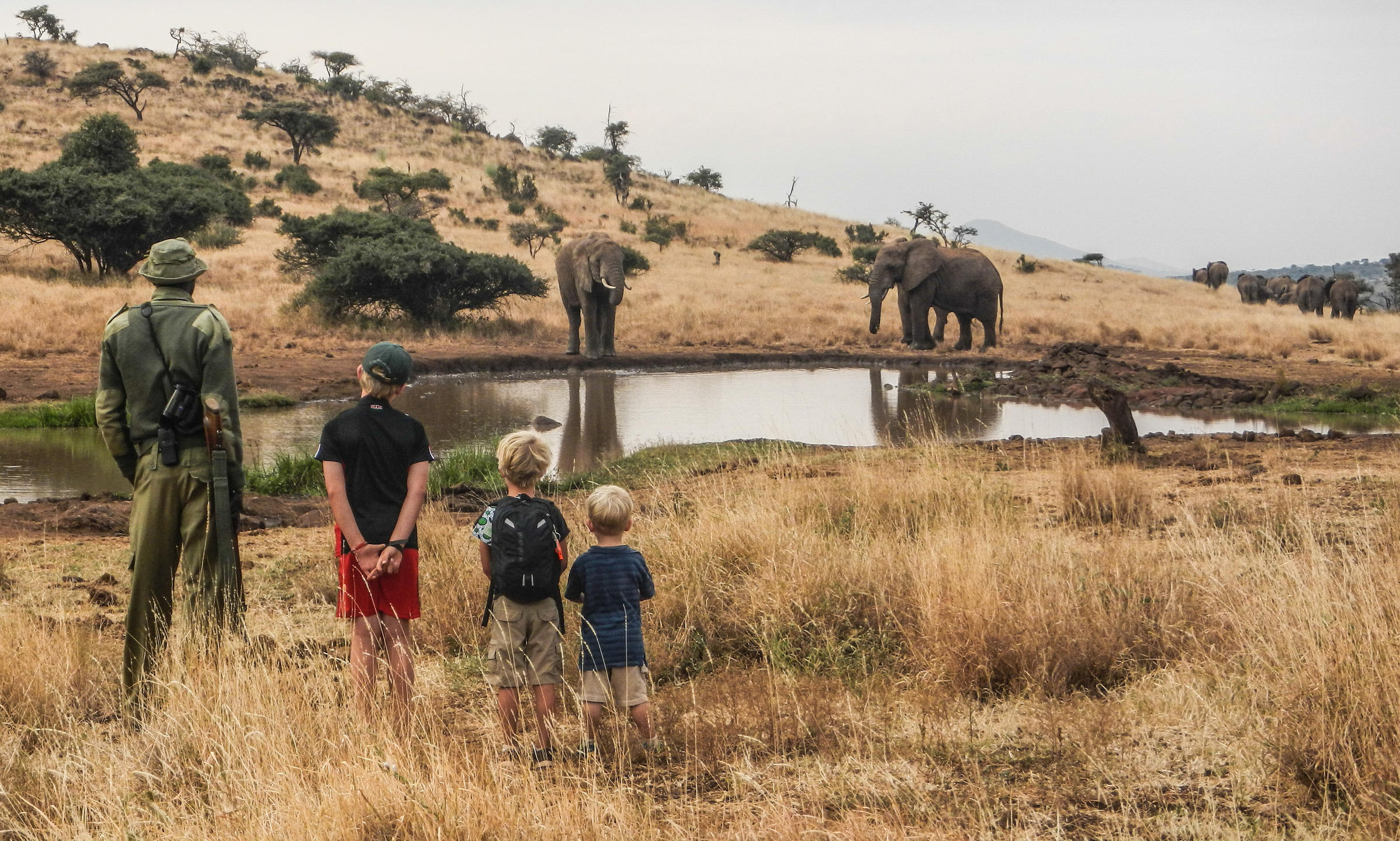 Best Eco Safari Lodges in Kenya That Truly Make a Difference by malee safaris Travel & Tourism 2025