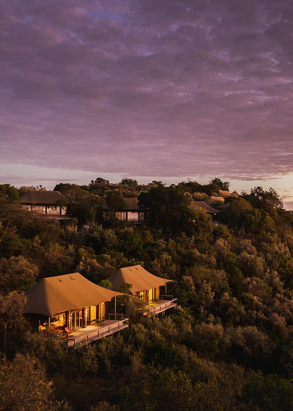 Best Eco-Safari Lodges in Kenya That Truly Make a Difference
