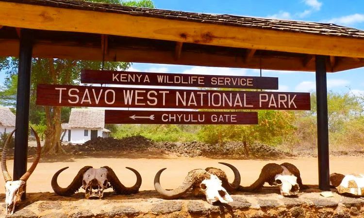 Tsavo East vs Tsavo West Safari: Which Park Wins? | Malee Safaris 2026