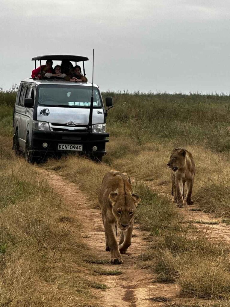 kenya-safari-guides-local-experts