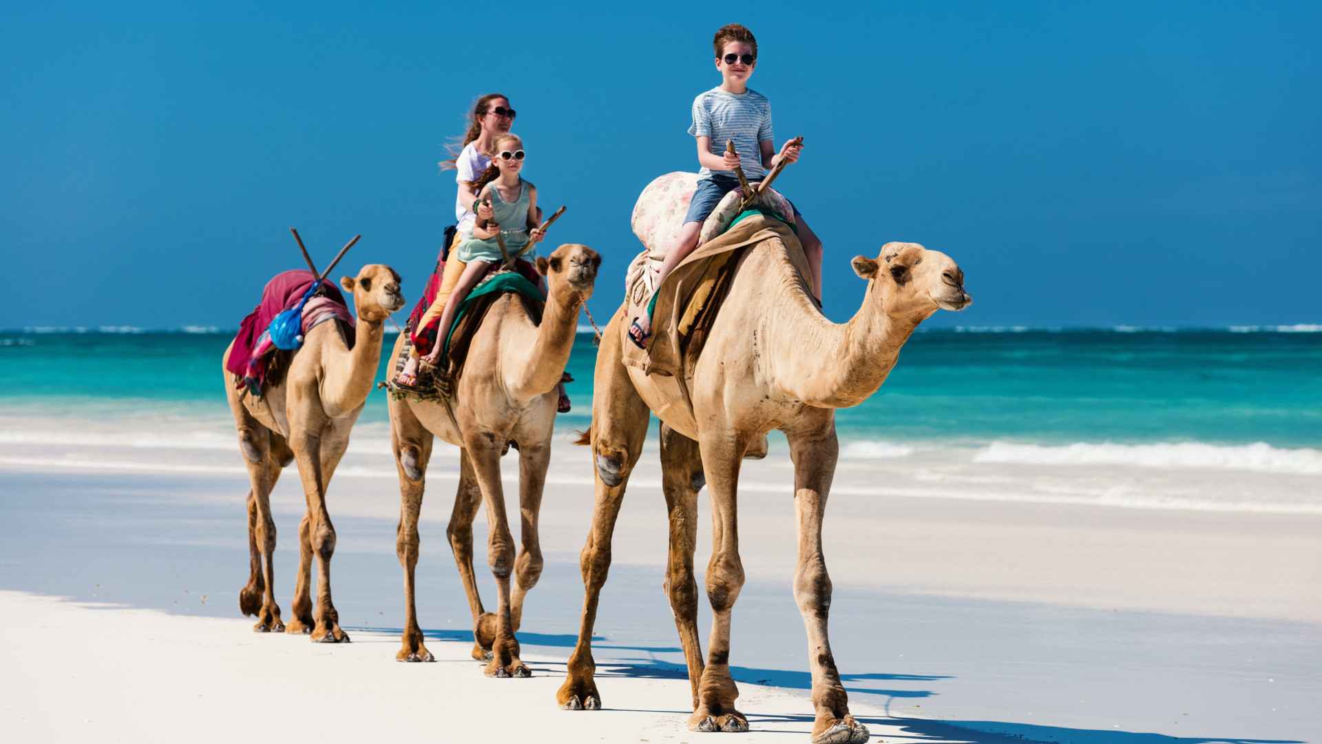 Kenya Safari and Beach Package | 7 Days Wild to Ocean malee