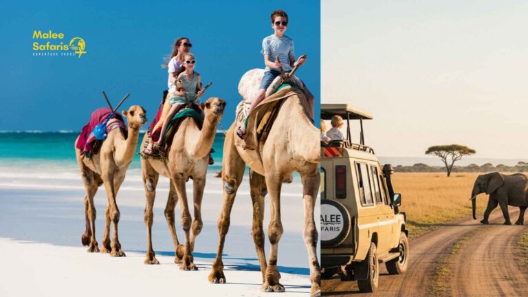 Kenya Safari and Beach Package 7 Days Wild to Ocean