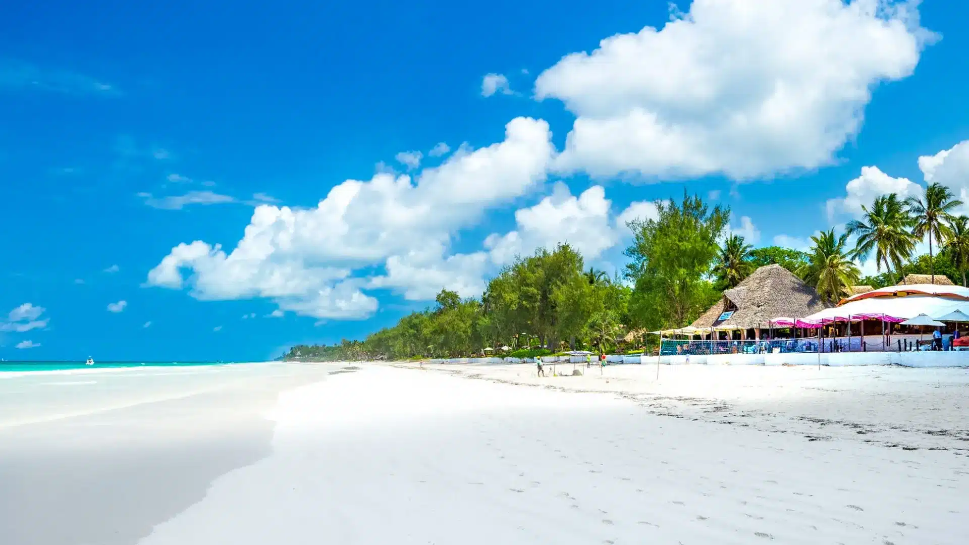 Kenya Safari and Beach Package | 7 Days Wild to Ocean malee